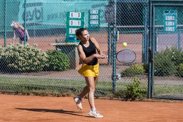Bild 273 - TVSH Cup